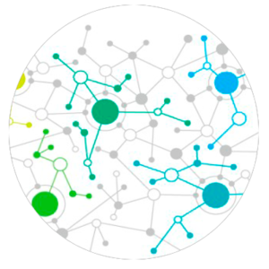 Análise de Conteúdos em Redes Complexas
